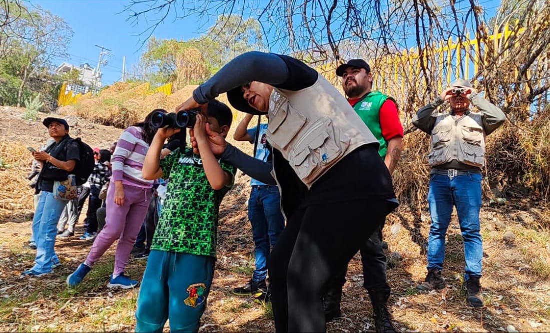 Cult_Amb_CDMX's tweet photo. Como parte del #RetoNaturalista, realizamos un recorrido por #Yautlica, en la #SierraSantaCatarina, para conocer e identificar a los increíbles habitantes del matorral. 🐞 ¡Cada observación suma para cuidar y valorar nuestra biodiversidad! 📸🐝✨❤️‍🔥 #CiudadBiodiversa #CDMX https://t.co/gbZGJOWBqd