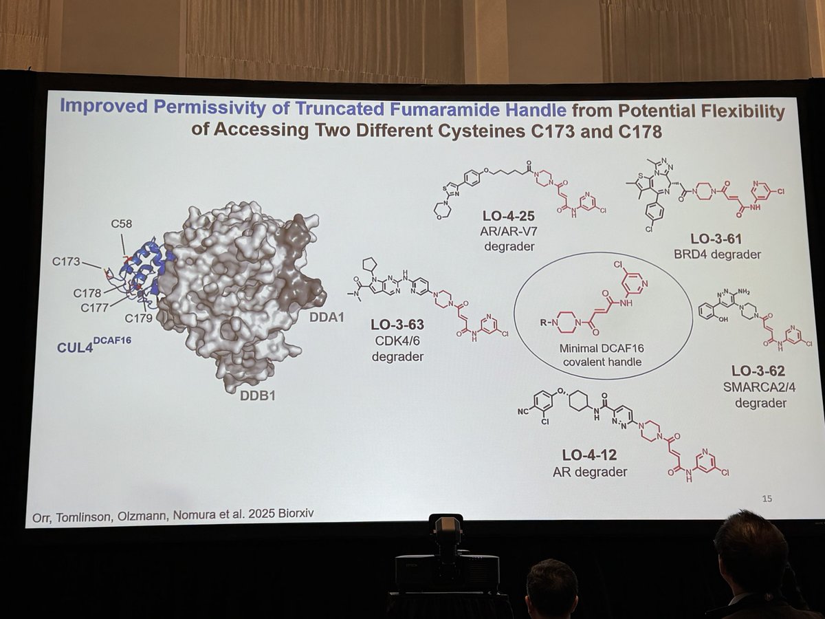Today posted on <a href="/biorxivpreprint/">bioRxiv</a> and just now presented by the one and only <a href="/DanNomura/">Dan Nomura</a> at #AACR25: Another way of covalently hijacking DCAF16 for targeted protein degradation of BRD4, SMARCA2/4, CDK4/6 or ARV7. biorxiv.org/content/10.110…