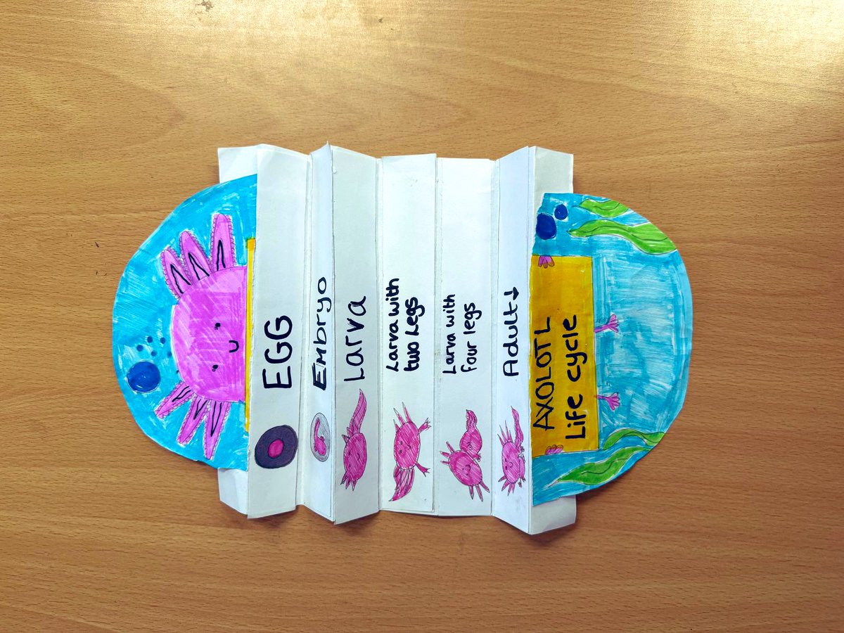 HogarthPS's tweet photo. Huge congratulations to the winners of our Science Day competition!
Louis and Noah (joint entry) in RKH and 1C; Roman Ray in 3S and Sebastian in 5C 👏👏👏
#wearescientists
#changeandadapt
#scienceday2025 https://t.co/jXJFkbEdqN