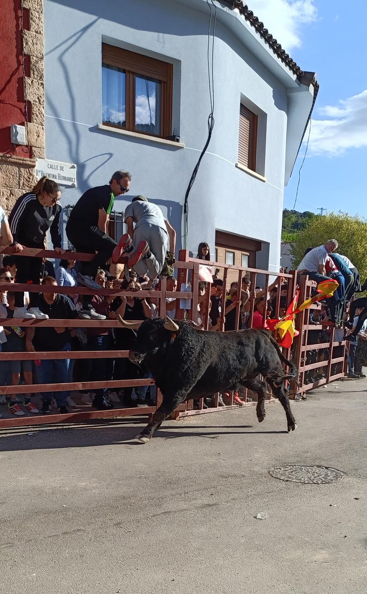 PCChiloeches01 tweet media