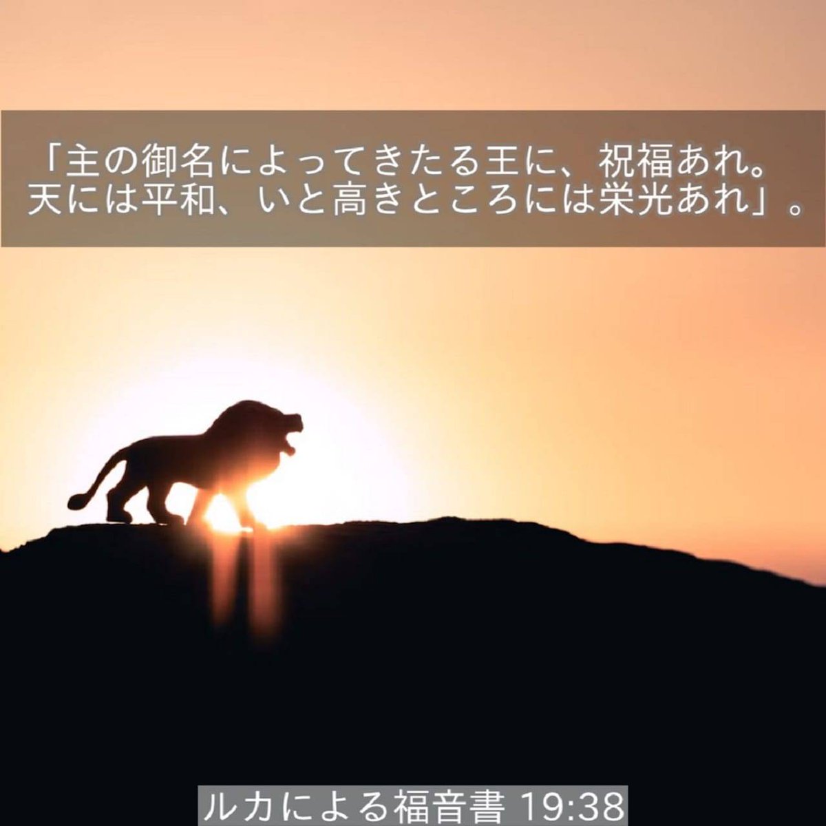 _Eternal__Life_'s tweet photo. https://t.co/oXRrZALINe https://t.co/wPwIGV46CF