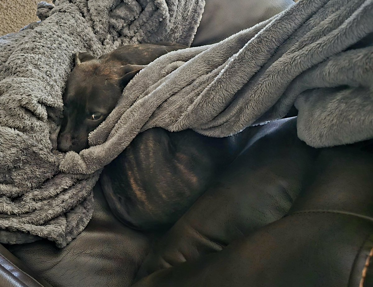 It's probably my fault for getting up to refill my water.