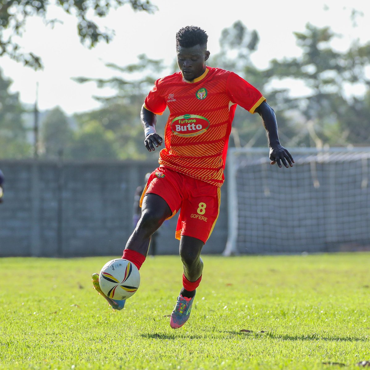 Ibrahim orit tweet media