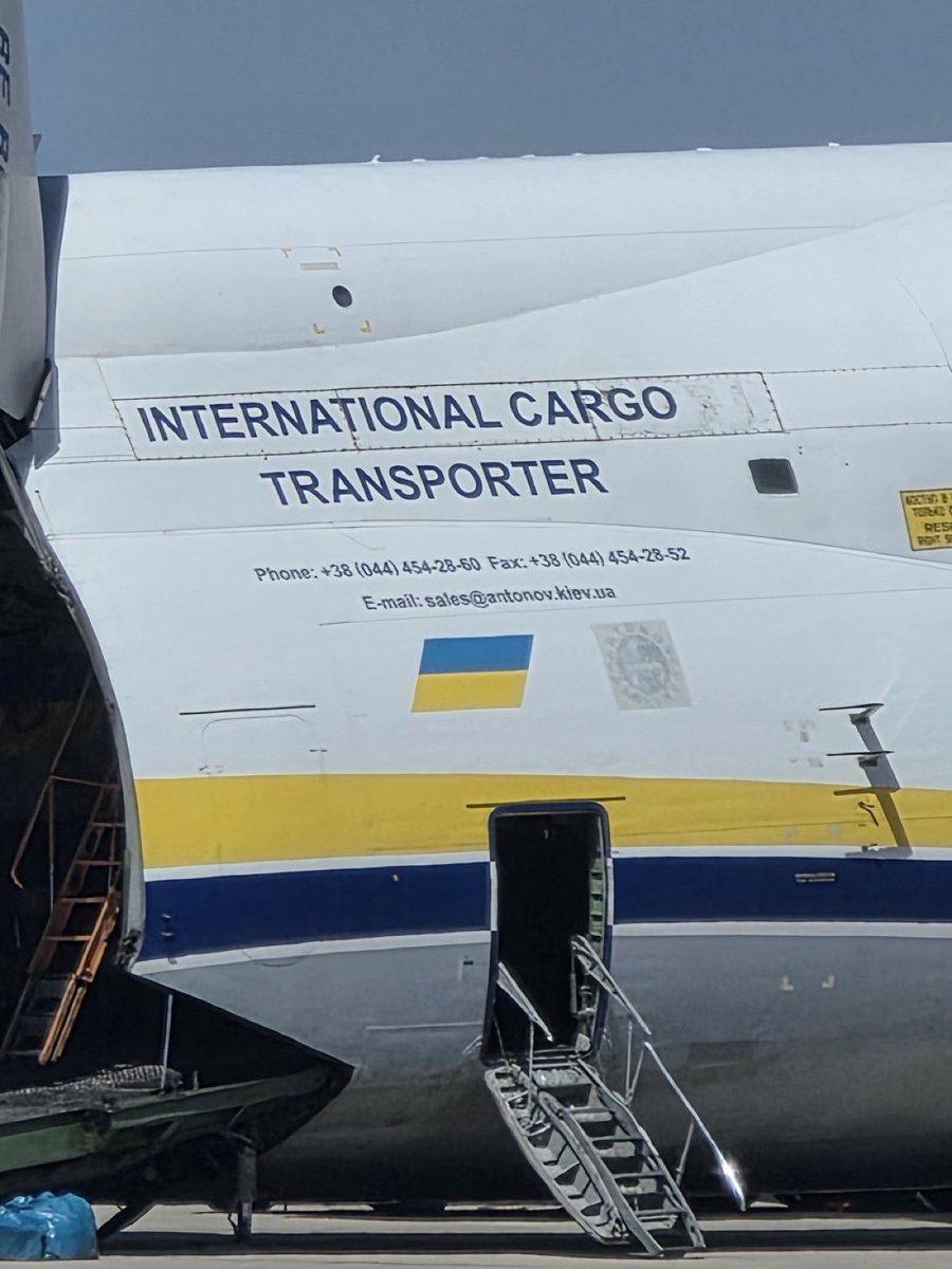 Laura Loomer tweet media