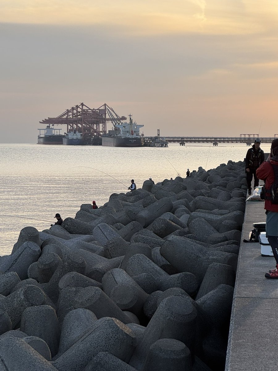 YBb3aVjlt5P4lfO's tweet image. はじめまーす🎣