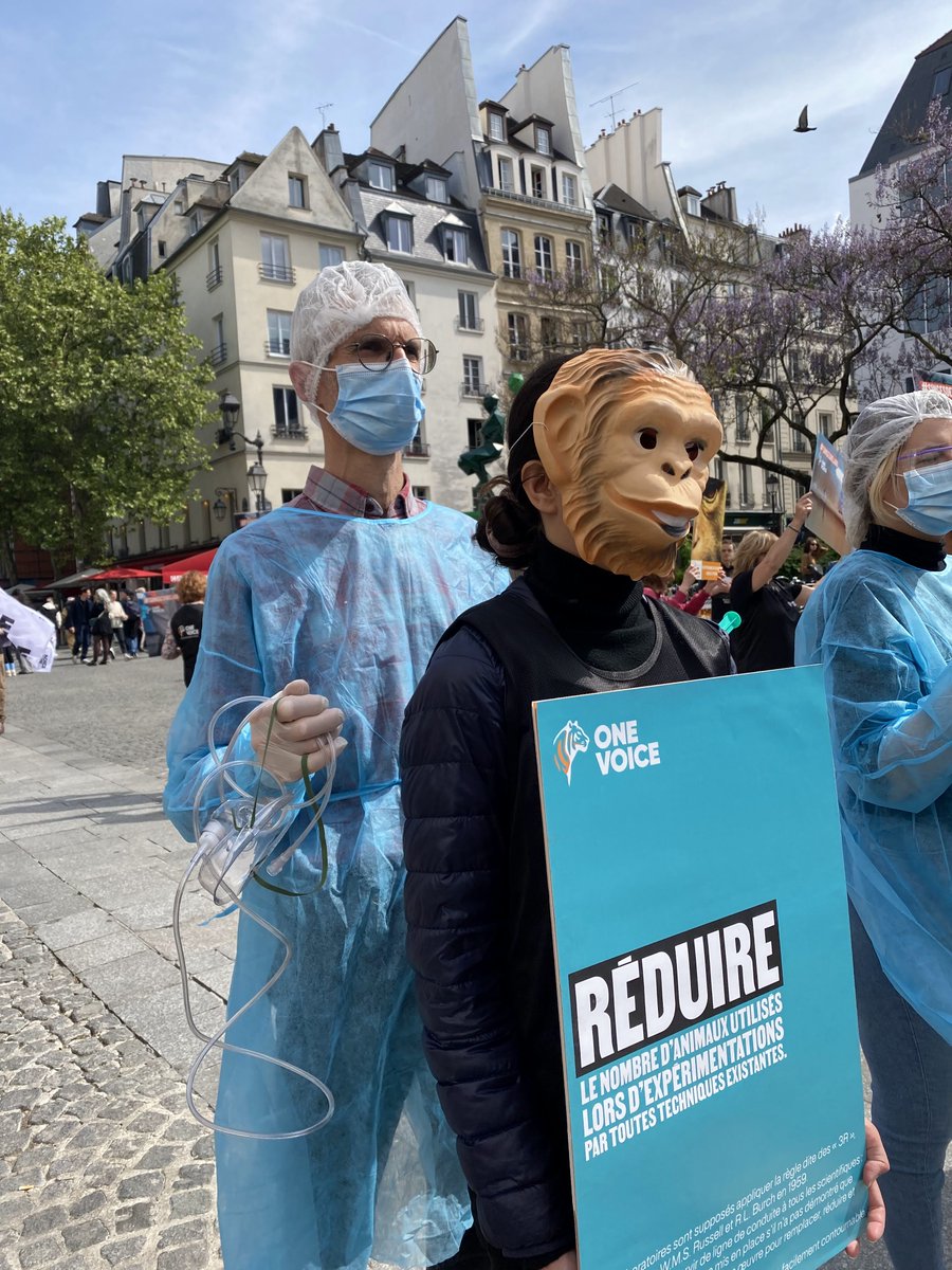 Ph_Demarquez's tweet image. A l'occasion de la "Journée Mondiale des Animaux dans les Laboratoires" les militants de @onevoiceanimal ont rappelé les terribles souffrances endurées par 2 millions d'animaux rien qu'en 🇫🇷 😱
Oui, aux méthodes de substitution à l’expérimentation animale
#EndAnimalTesting