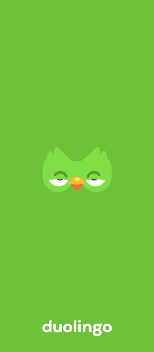 Schweville's tweet photo. The @duolingo home screen got stuck and now he’s watching me like this 💀 https://t.co/lrFIMeVWoG