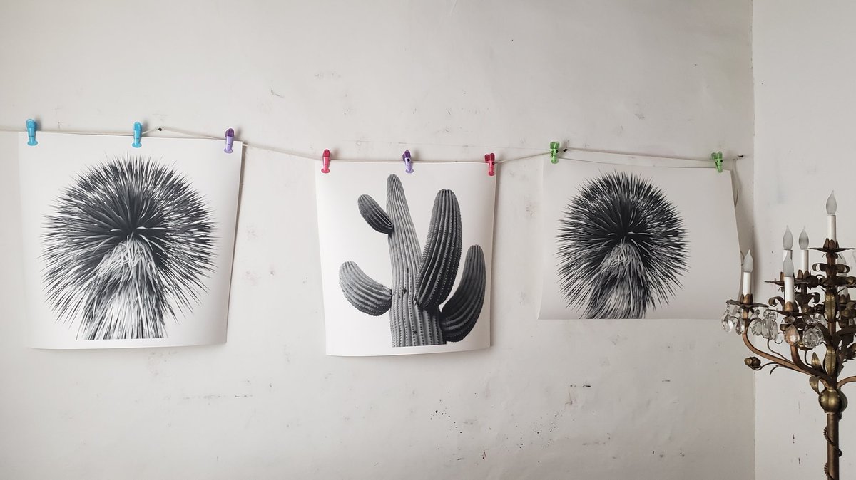 annaleekeefer (@annaleekeefer) on Twitter photo 