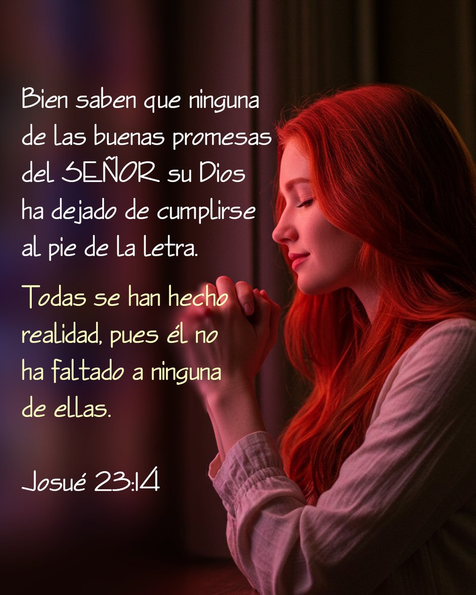 Cerca Está tweet media