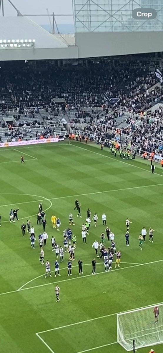 Andrew Johns tweet media