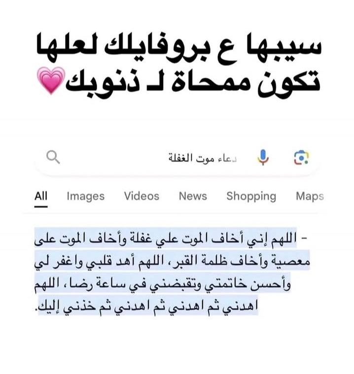 ؏ليِا🦩 tweet media