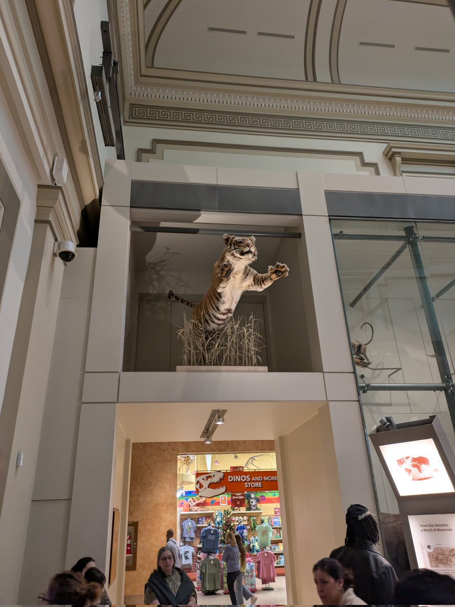 Unessesry for a museum but cool