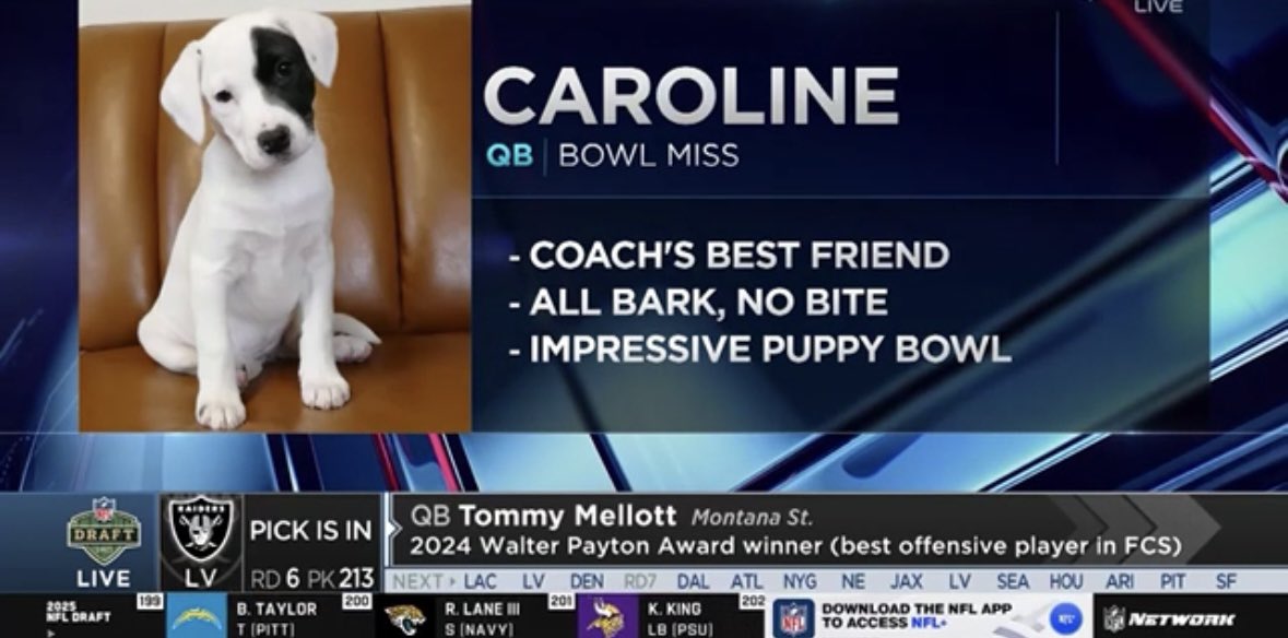 no context college football (@nocontextcfb) on Twitter photo 