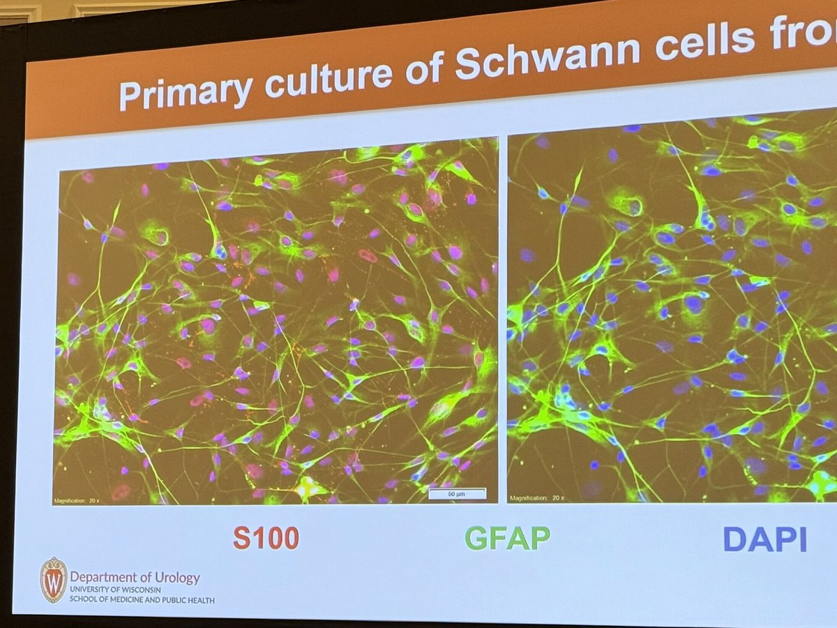 Trevor C. Hunt, MD tweet media