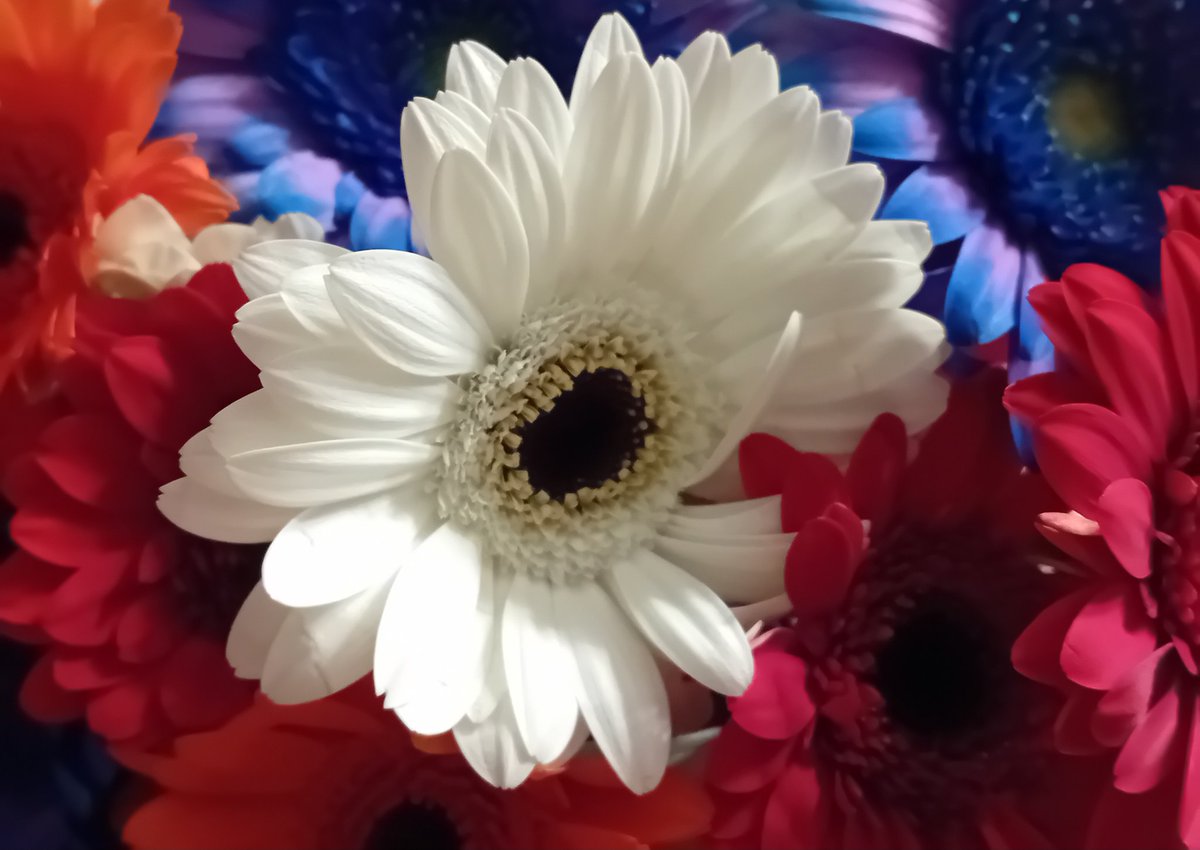 Kimberley Lagerweij (@kimlagerweij34) on Twitter photo 