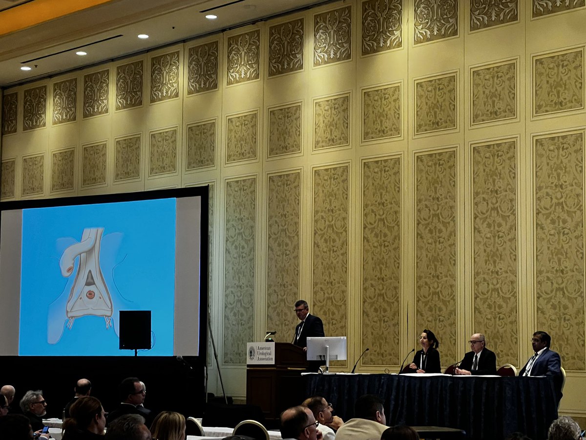 GURS (@societygurs) on Twitter photo What a powerhouse of presenters on posterior stricture repairâ Reynaldo Gomez, <a href="/jc_hagedorn/">Judith C Hagedorn</a>, and Pankaj Joshi!
#aua25 What a powerhouse of presenters on posterior stricture repairâ Reynaldo Gomez, <a href="/jc_hagedorn/">Judith C Hagedorn</a>, and Pankaj Joshi!
#aua25