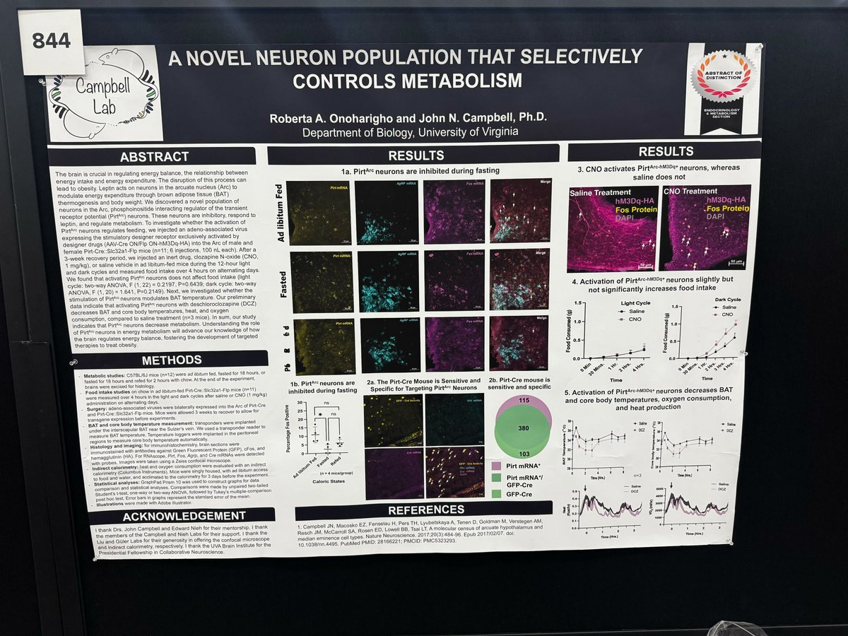 staroddi's tweet photo. Research with Star-Oddi loggers at the @APSPhysiology #APS2025 summit
@LifeAtPurdue @GWtweets @UVA
#tinyloggers
#staroddi
#heartratelogger https://t.co/6iJnGsSZBF