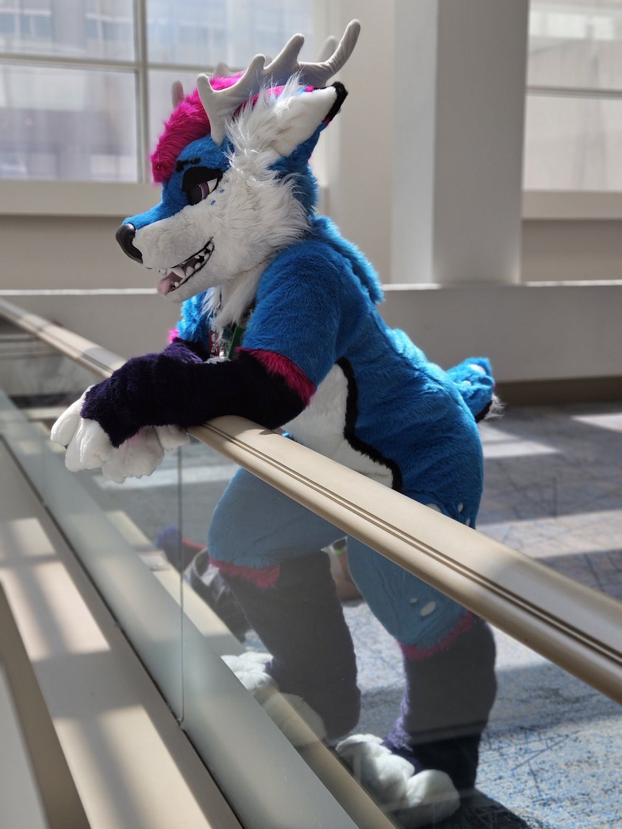 Just enjoying the moment. Living life as best I can. 

📸 <a href="/SparkleyStar02/">🌴Cosmic the Wolf🌴</a>