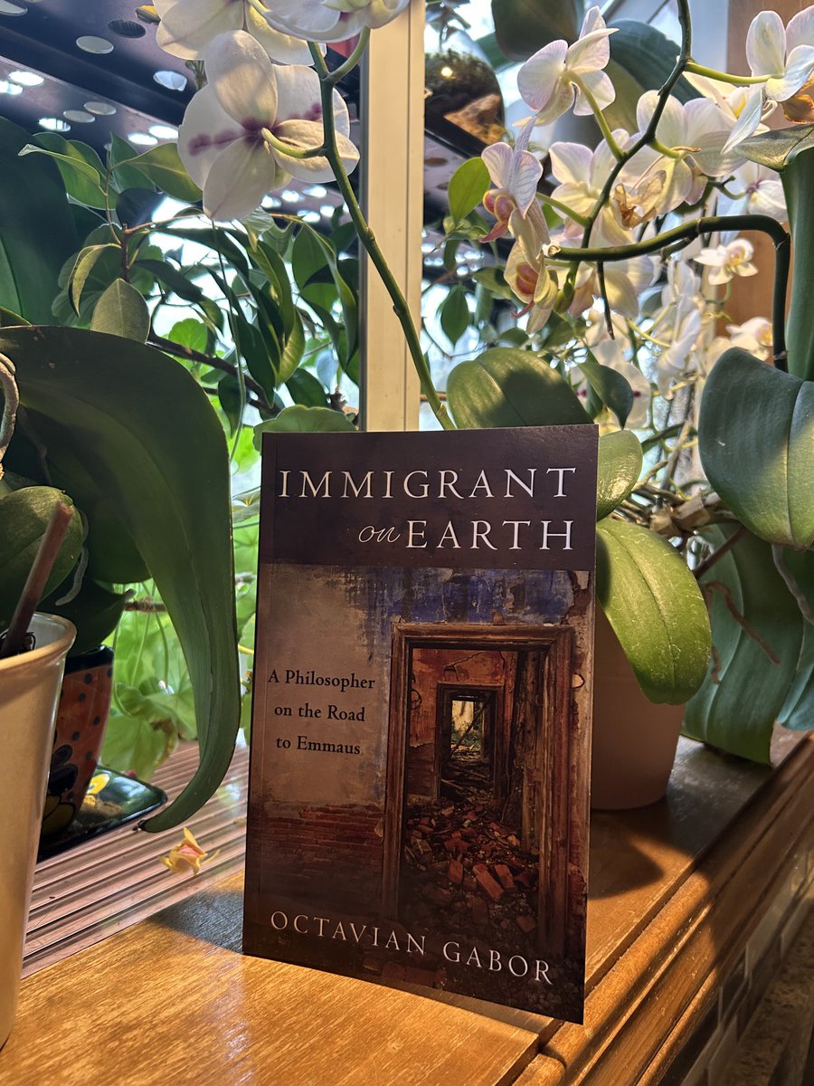 Octavian Gabor tweet media