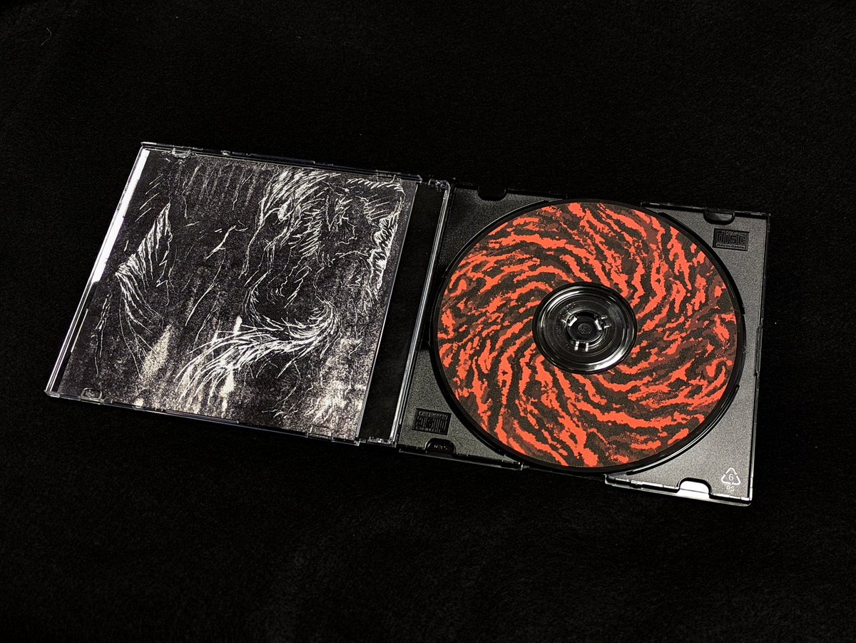 TRAEX ⨂ tweet media