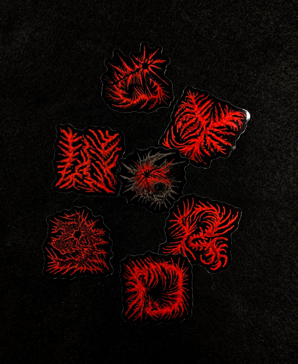 TRAEX ⨂ tweet media