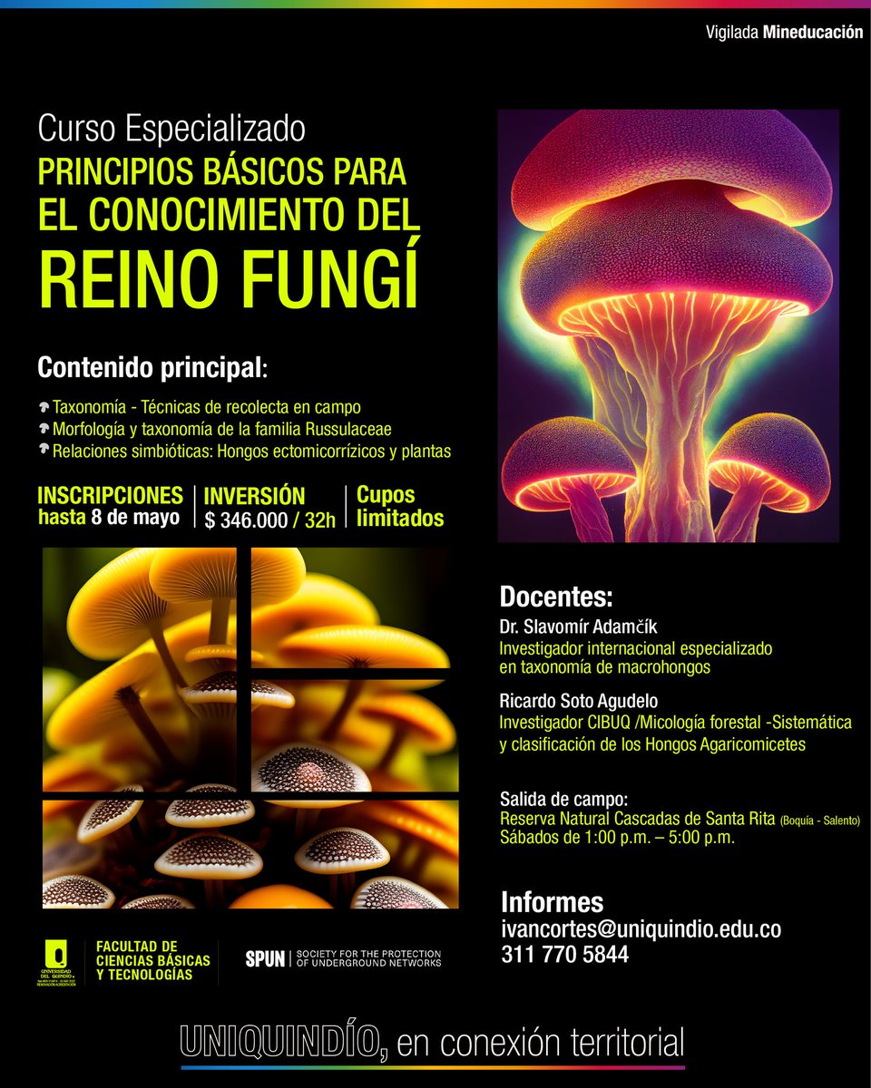 𝐂𝐔𝐑𝐒𝐎 𝐏𝐫𝐢𝐧𝐜𝐢𝐩𝐢𝐨𝐬 𝐁𝐚́𝐬𝐢𝐜𝐨𝐬 𝐏𝐚𝐫𝐚 𝐞𝐥 𝐜𝐨𝐧𝐨𝐜𝐢𝐦𝐢𝐞𝐧𝐭𝐨 𝐝𝐞𝐥 𝐫𝐞𝐢𝐧𝐨 𝐟𝐮𝐧𝐠𝐢́
¿Quieres aprender sobre el maravilloso mundo de los hongos?
Slavomir Adamcik-Academia Eslovaca de Ciencias.
forms.gle/X9fTYoE83p1a6d…
#hongos #biodiversidad #Suelos