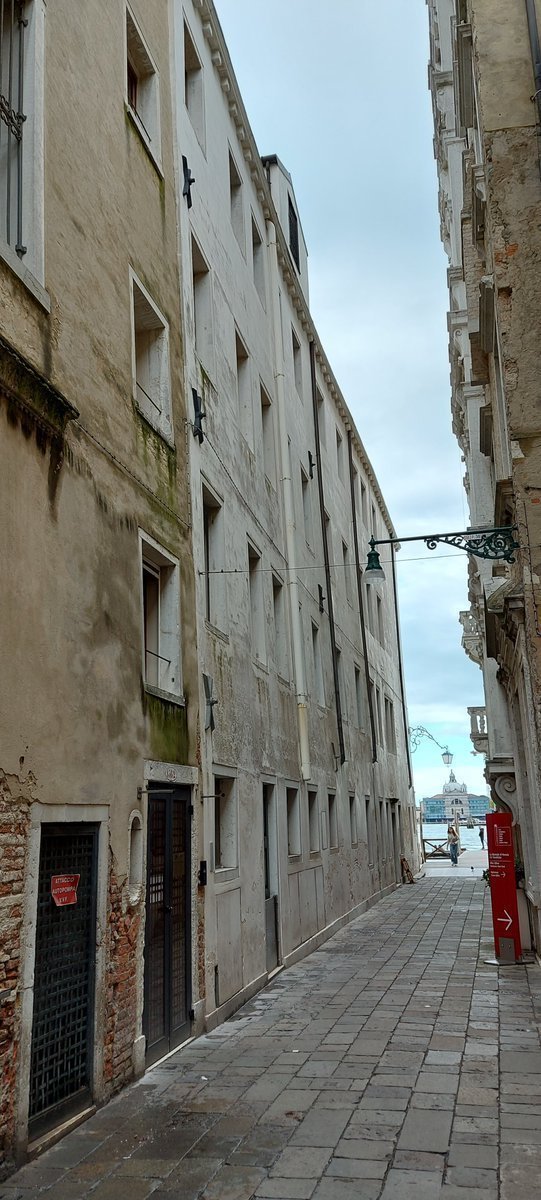 Xerses phus tweet media