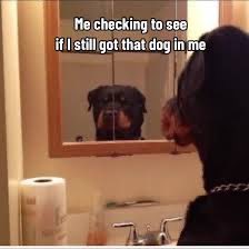 Eamon Rea tweet media