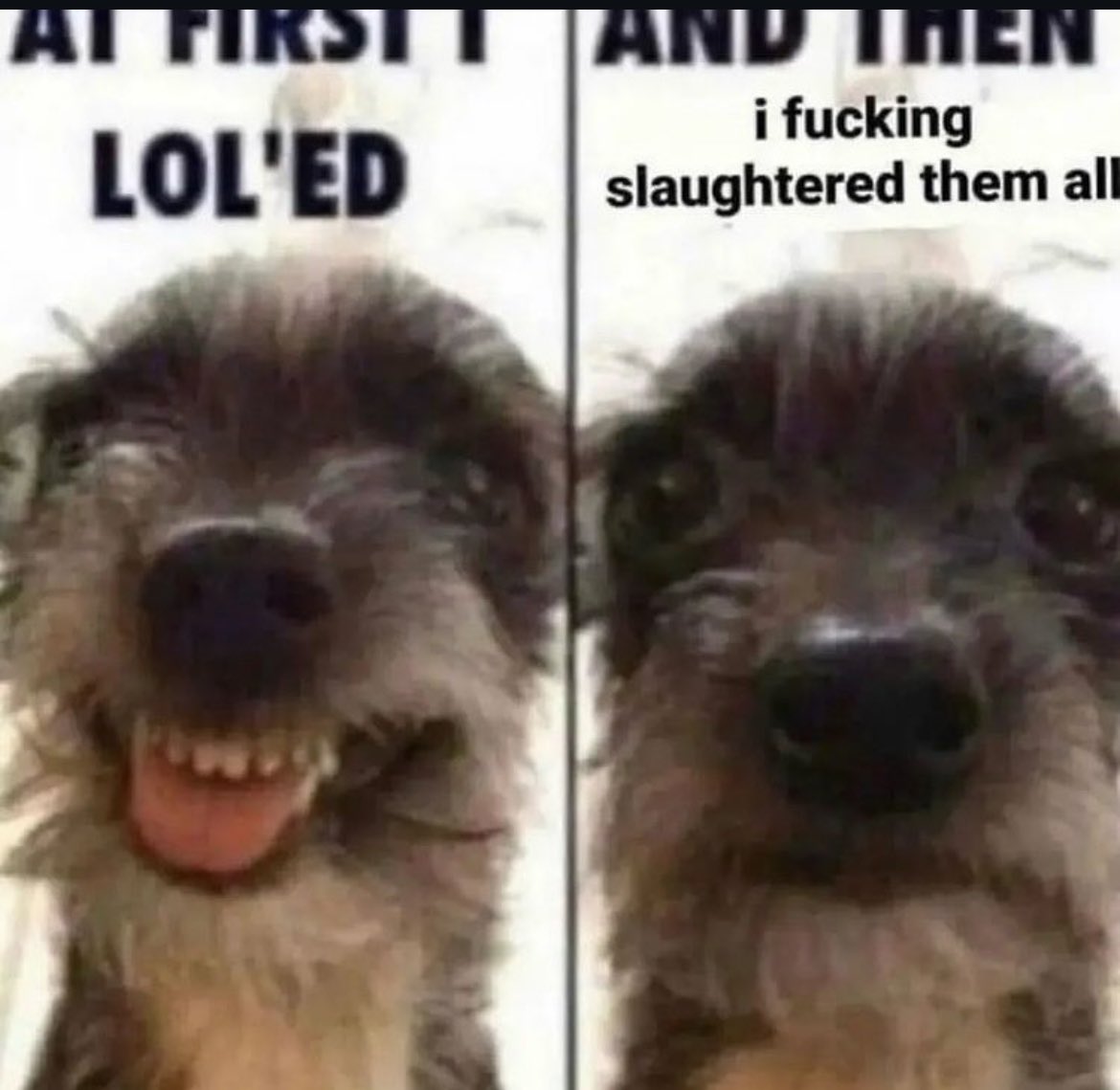 Vincent & The Black Rabbit tweet media