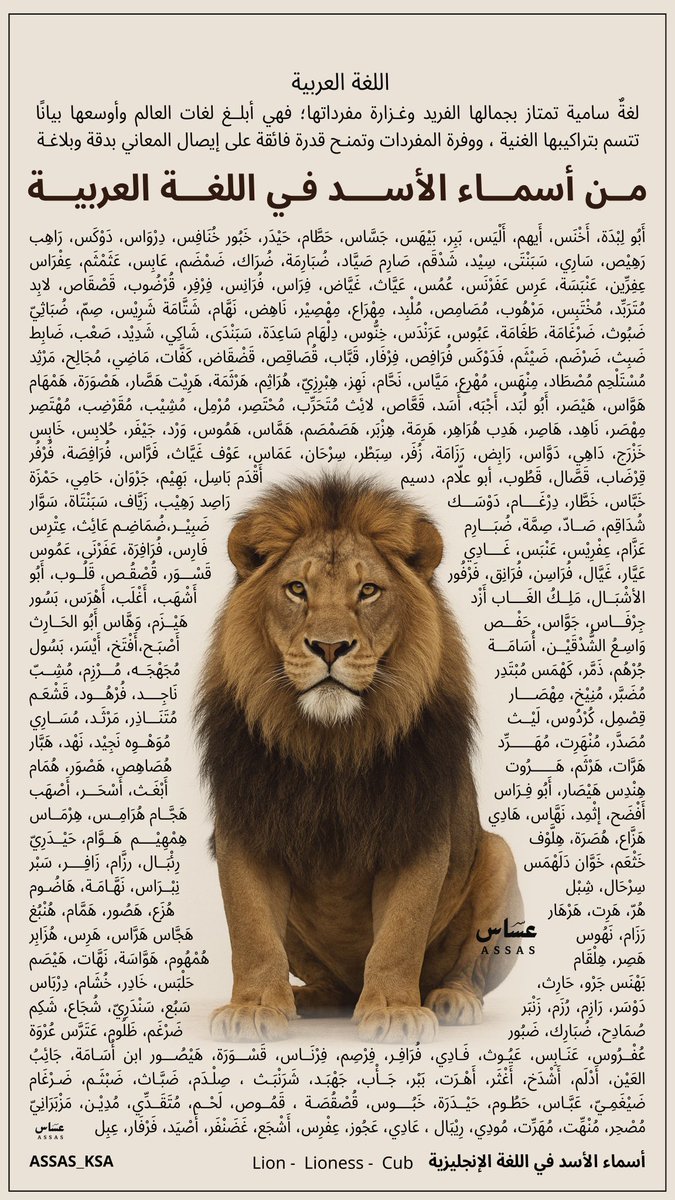369Ghena's tweet photo. https://t.co/R9vllEzl5Z