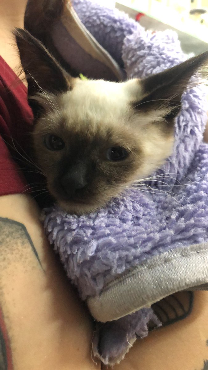 monalisa tweet media