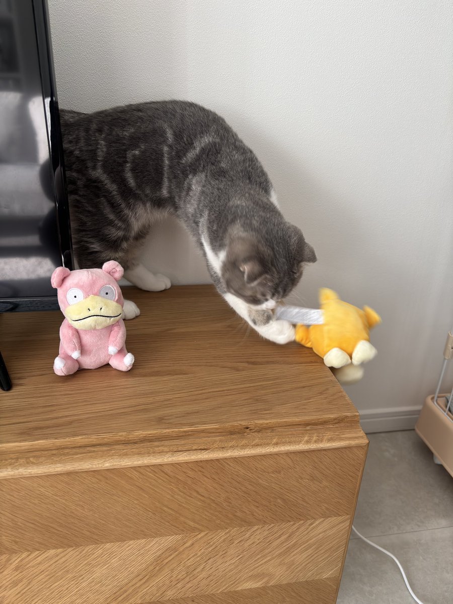 qg_48's tweet photo. コダックーー！！！ https://t.co/sa8X4g7LSw