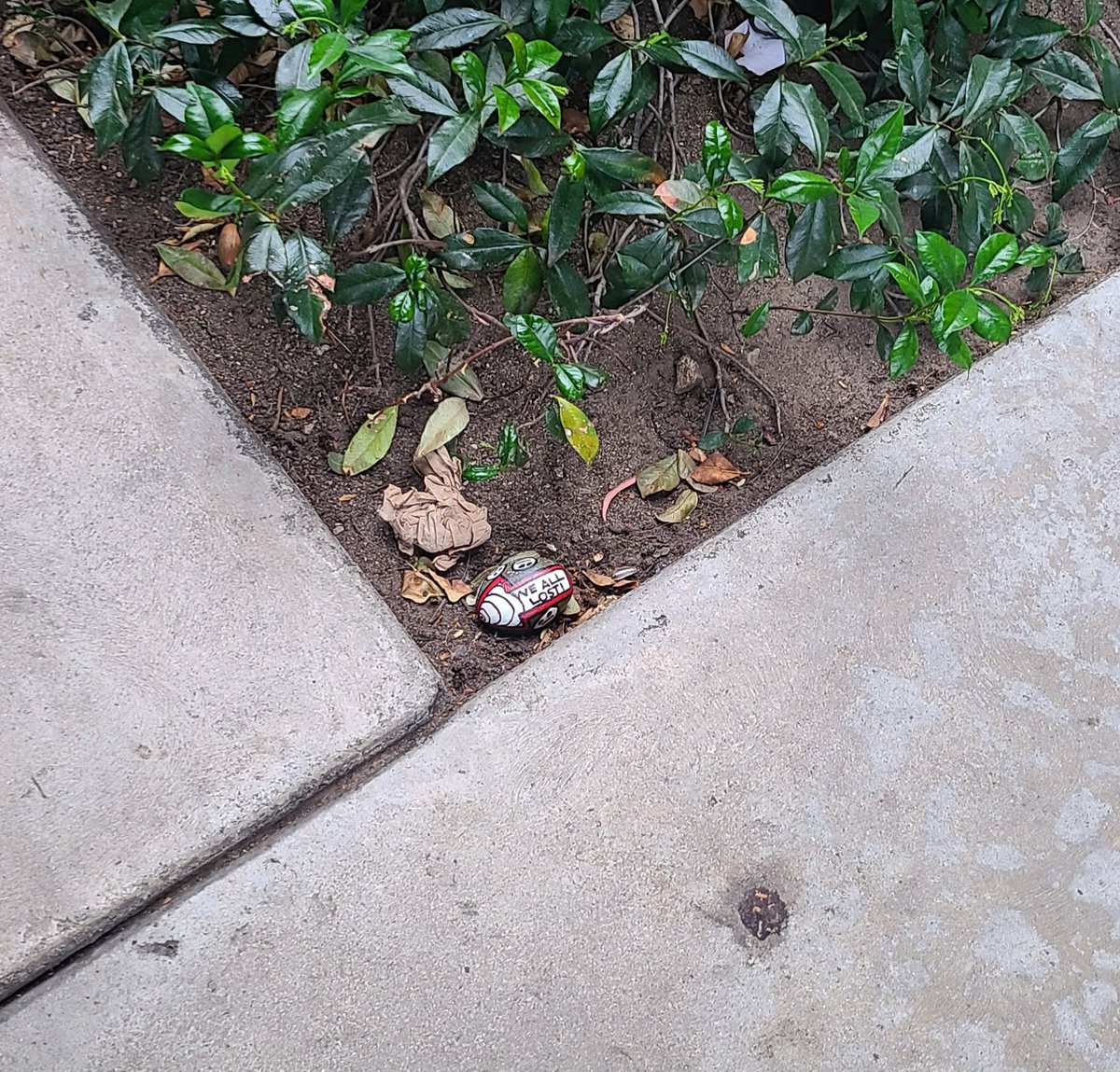 #Redlands #rockart #findit 😉