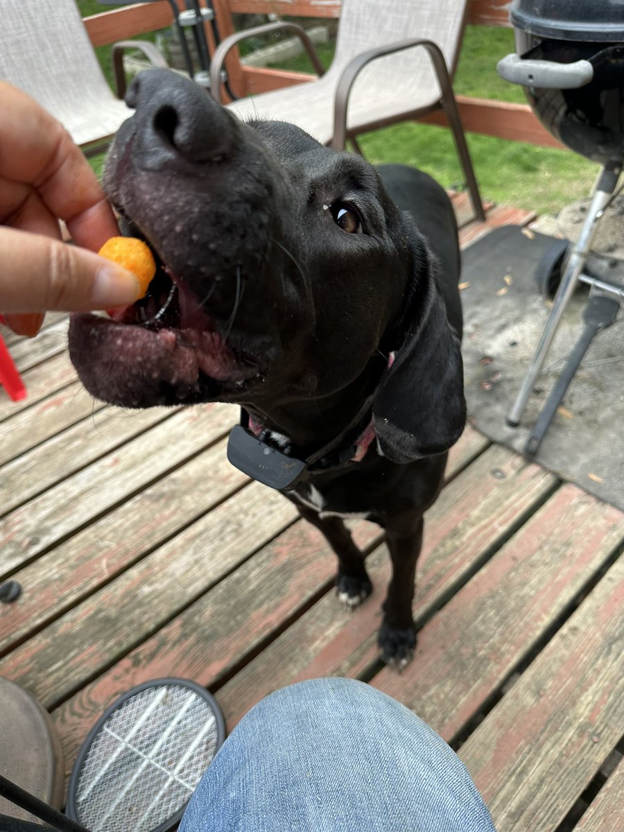 Steve Clarke tweet media