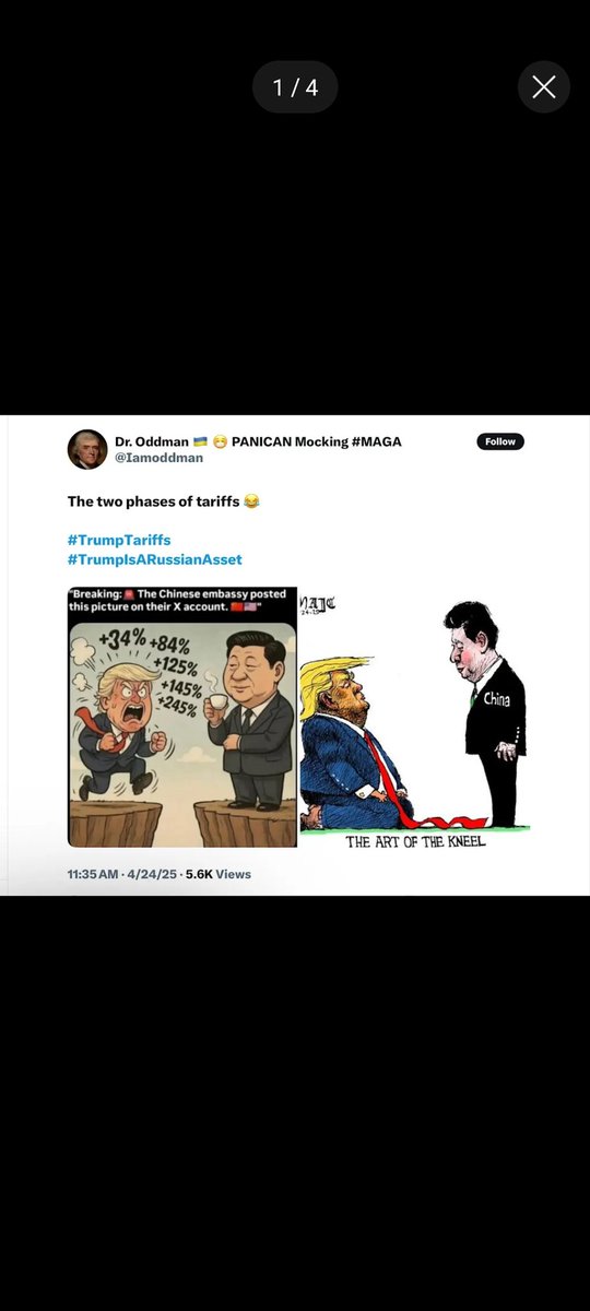 FunctionalDissident tweet media