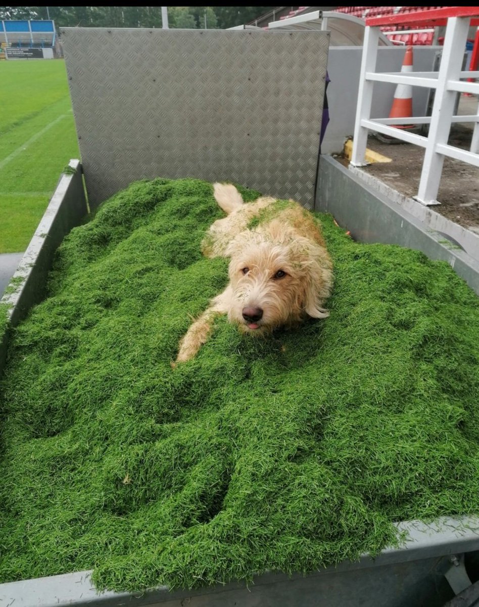 Graeme Glen tweet media