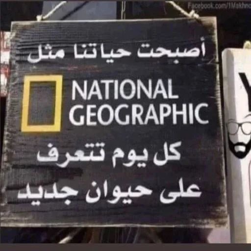 ‏💛ذآت أنيآب💛 tweet media