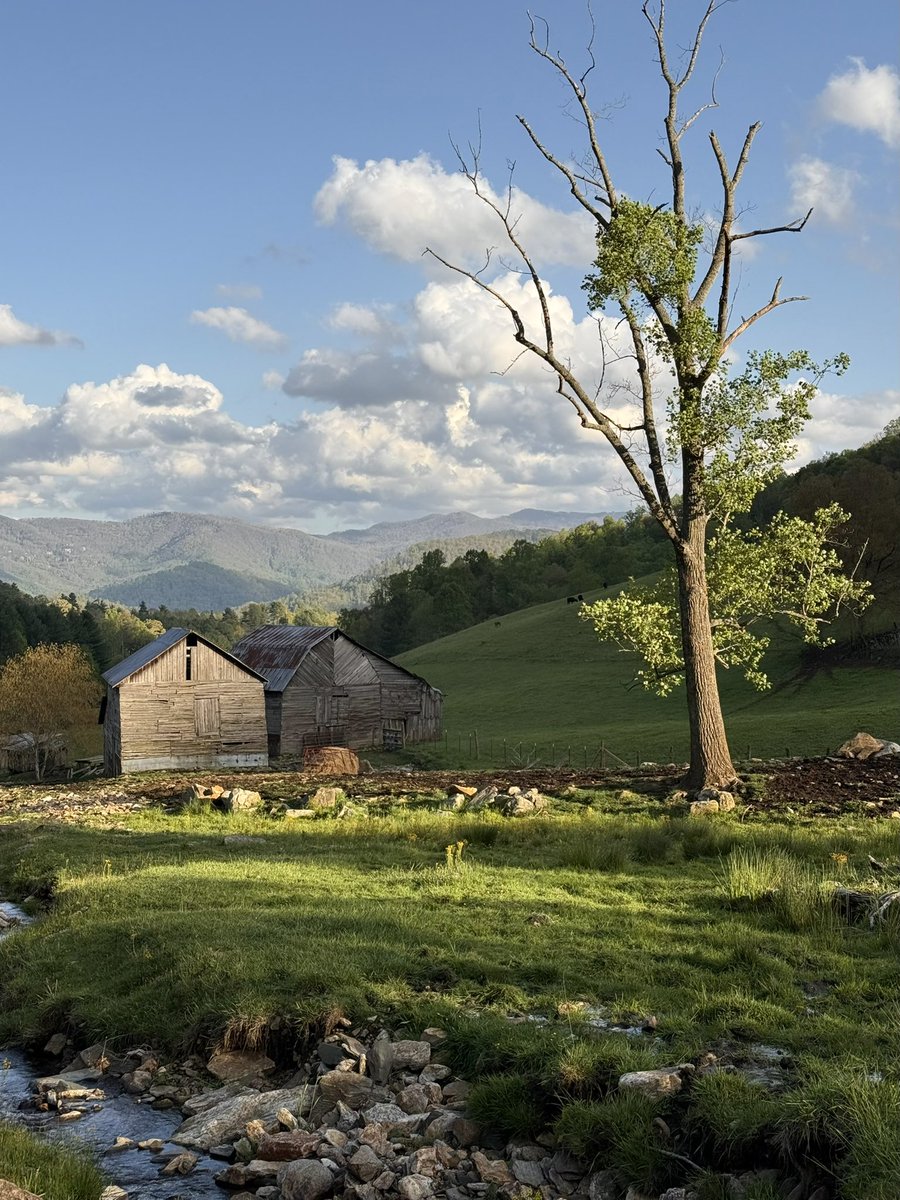 brndsil's tweet image. This view is stunning in every light, but this evening it’s magical