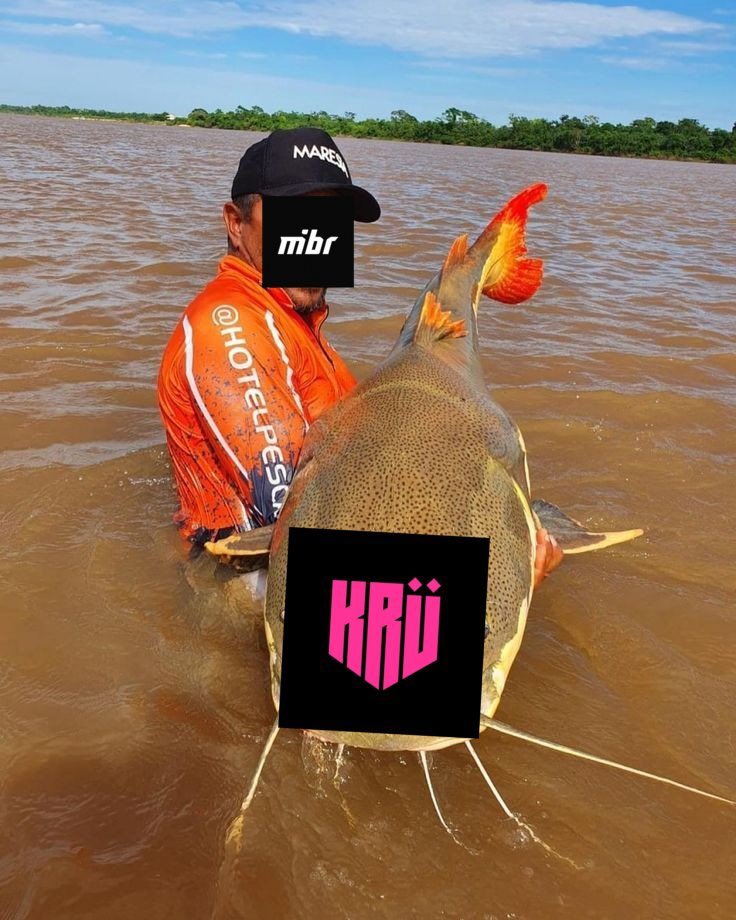 npnogue's tweet photo. @KRUesports Putas do aspas https://t.co/iFiQCZcaPN