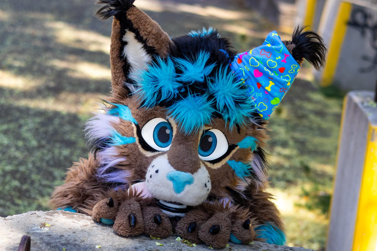 Hey cuties, I have a question in may I will have a free weekend from 17.05-19.05 or 24.05-26.05

I am rly in the mood to visit a city with plane or car to see new or old friends so anyone have ideas or time and want to chill with a silly gremling? 👉👈

#furries #furryfandom