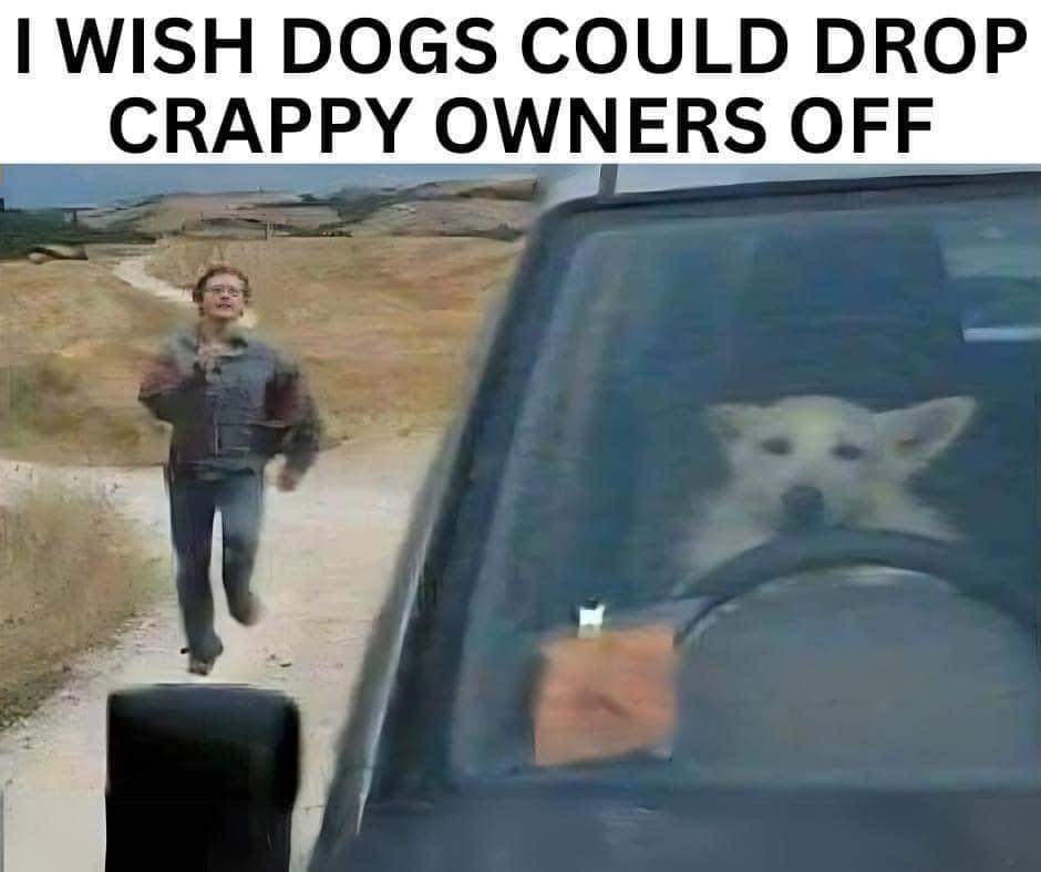 <a href="/Dalbodog/">The Dalbo Dog</a> Poor precious little girl 😞 
I hope someone kind picks her up and treats her like a princess the rest of her life. 🙏🏼❤️🐾🐾❤️🙏🏼