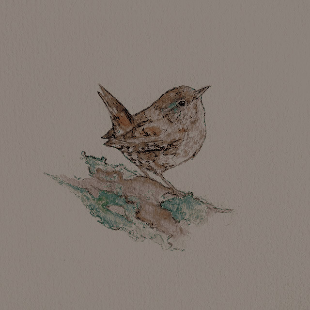 ARCTICSEMBER's tweet image. ╰     ❪   muse  info  .    ❫