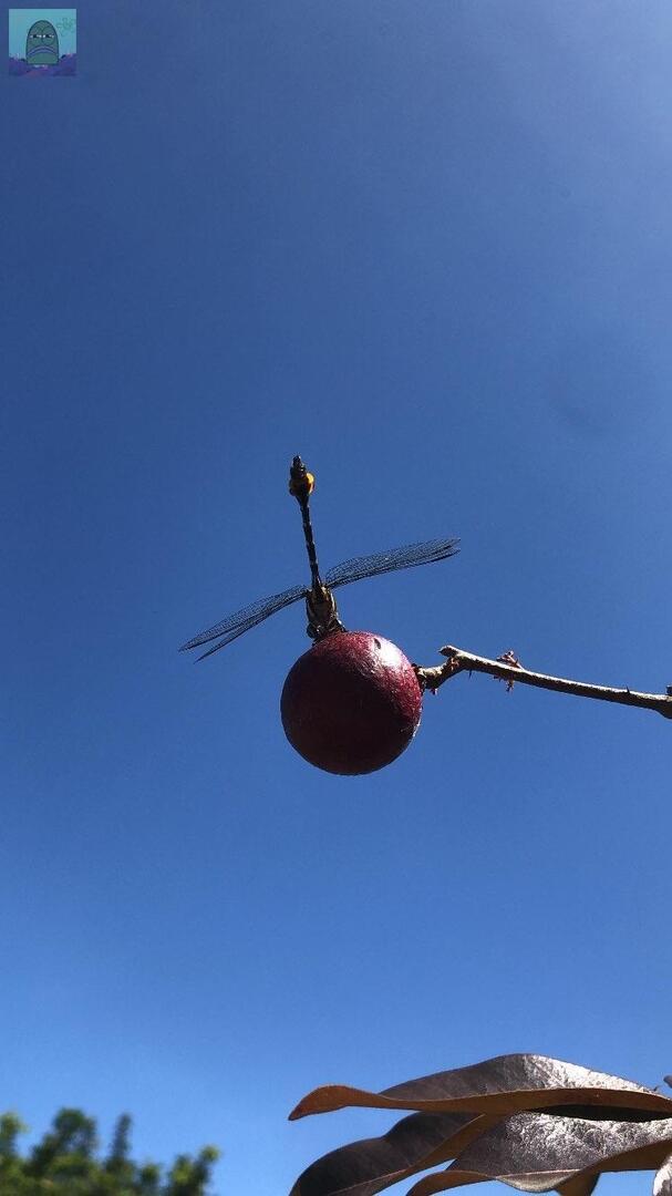 Tanyarl 💚 tweet media