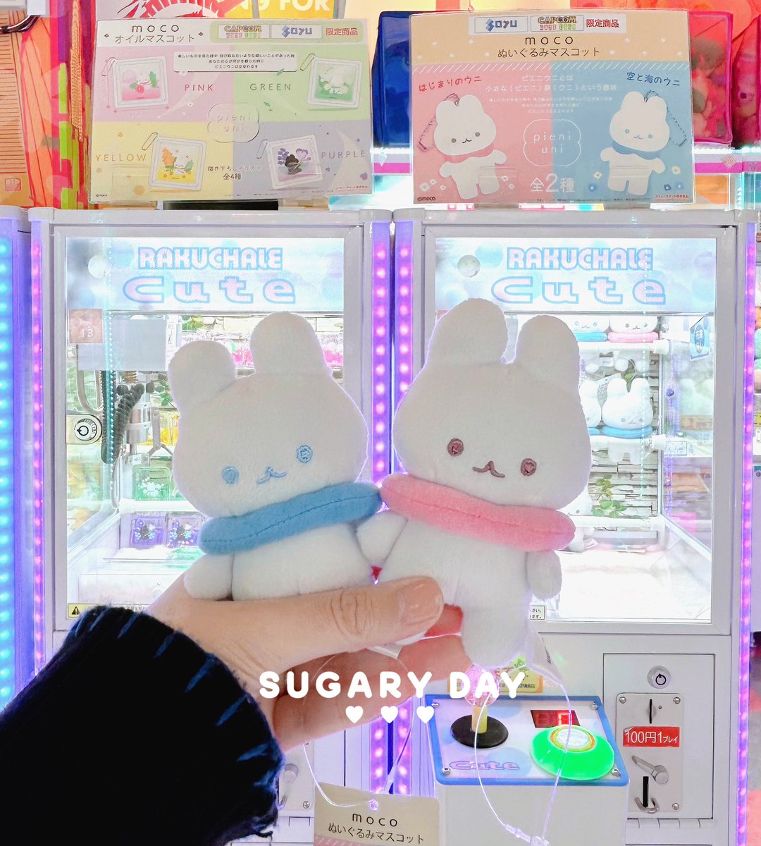 moco__'s tweet image. みなさま、#POPBOX やプライズでウニちゃんをお迎えいただいて本当にありがとうございます✨とても嬉しく、本当に有り難く思っております。。！

私もウニちゃんぬいぐるみをゲットして参りました🌼

#ピエニウニ