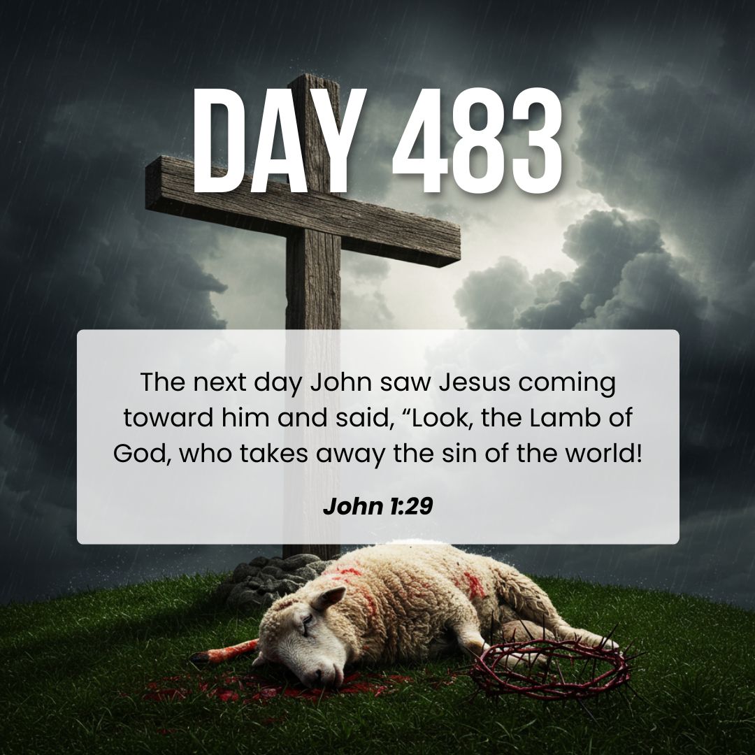 St Bs North London (@stbsnl) on Twitter photo 