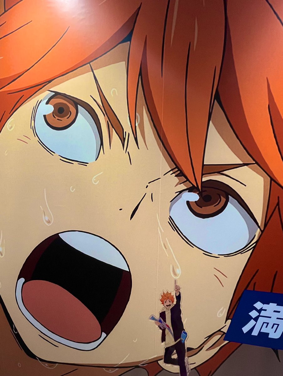 alcohol_enn's tweet image. ボールも汗も絶対に落とさない日向

#満ちてるキミはいい顔だ
#hq_anime
#ChargeAndGo