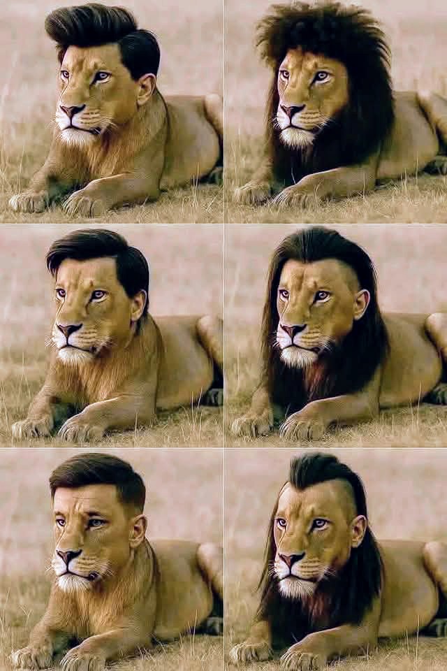 SumitDigit22861's tweet photo. Konsa hairstyle acha laga #trends2025 https://t.co/aXYymcJvxh