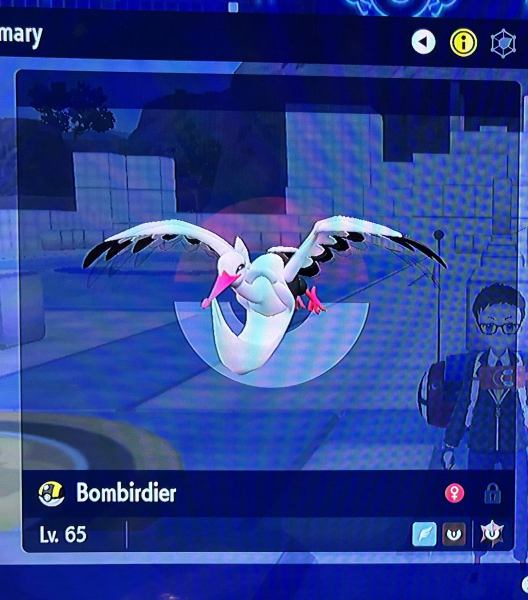 Chris Rossi tweet media