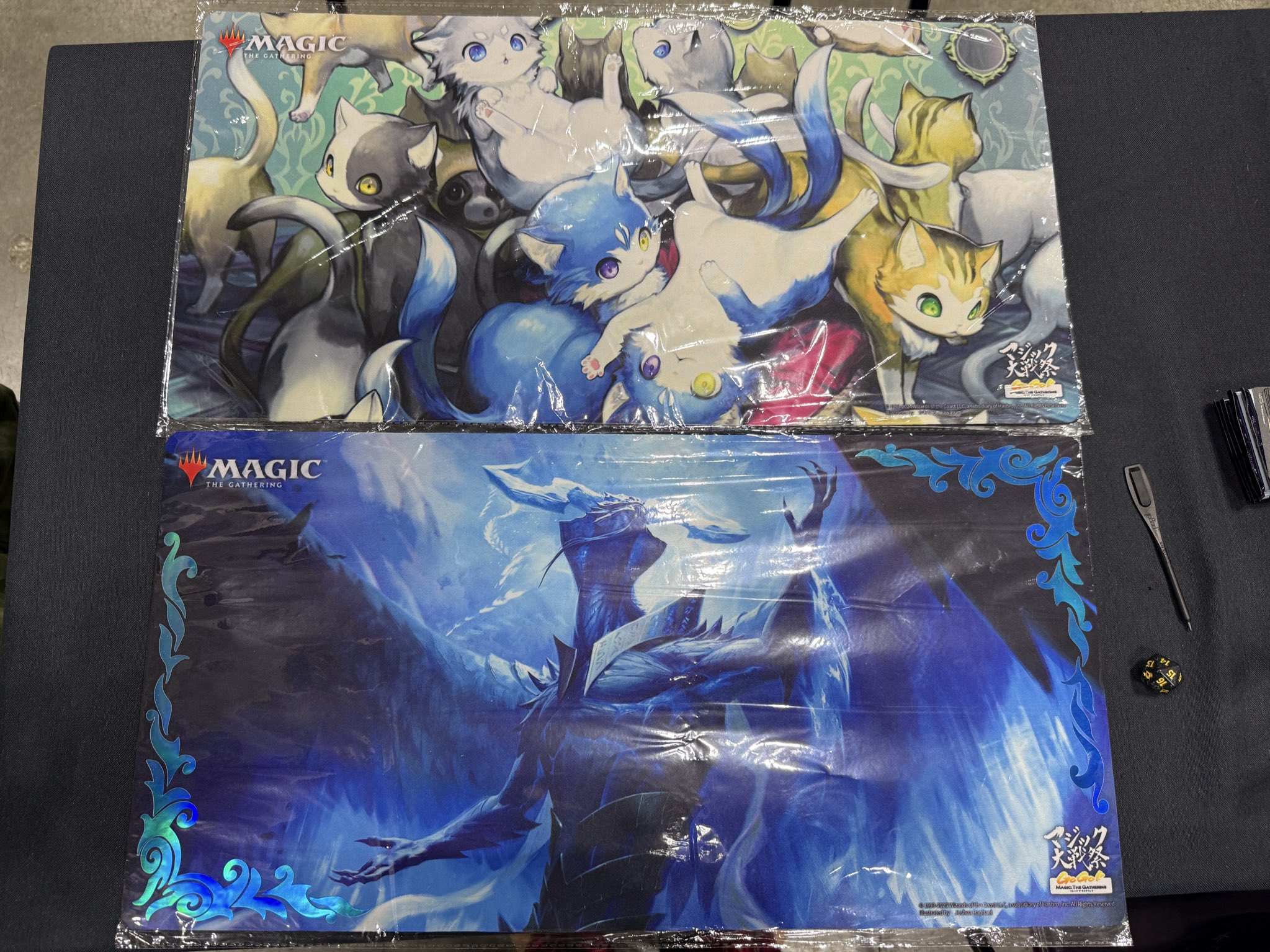 カードボックス MTG (@CARDBOX_MTG) / X カードボックス MTG (@CARDBOX_MTG) / X
