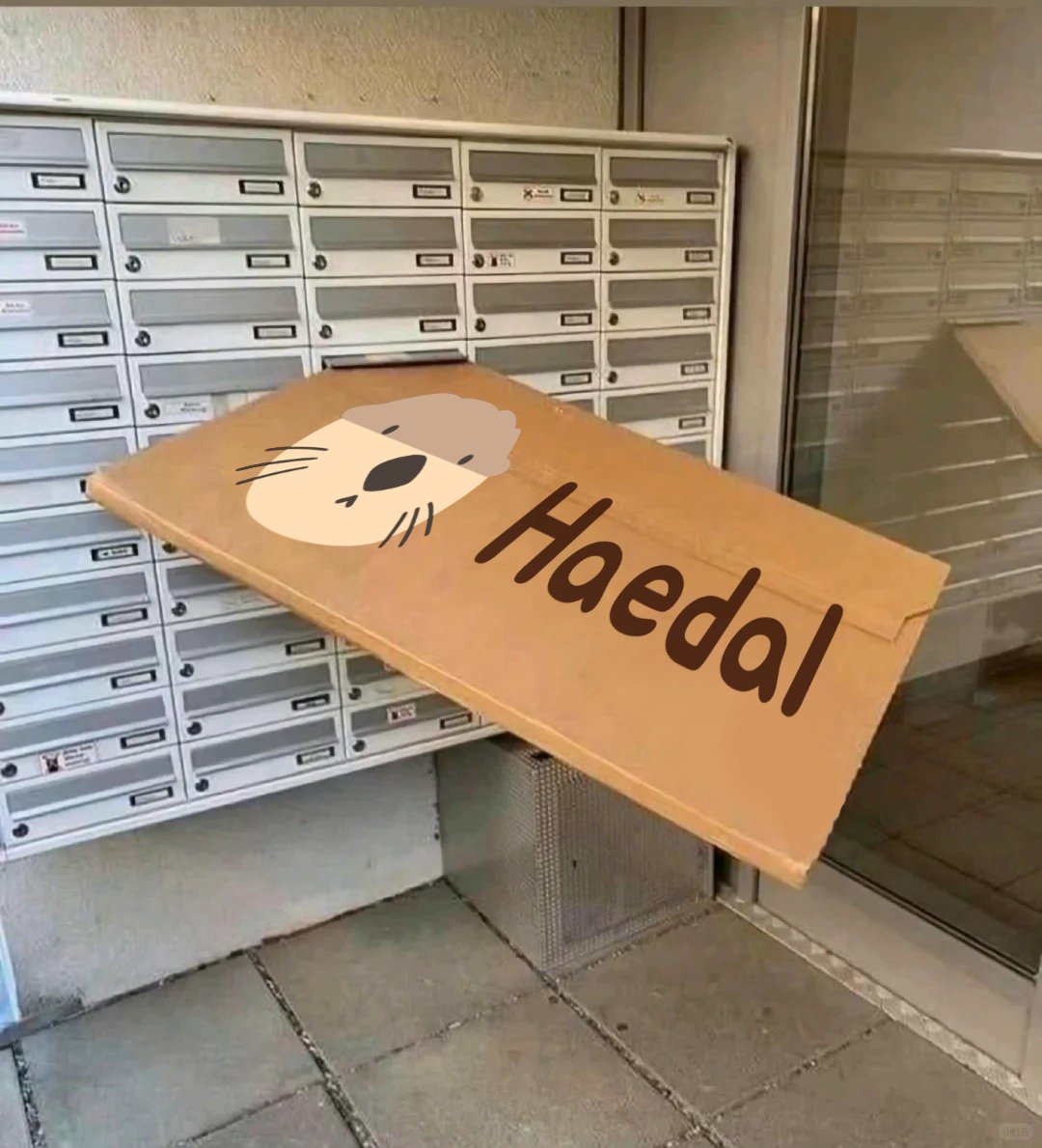 Haedal🦦 tweet media